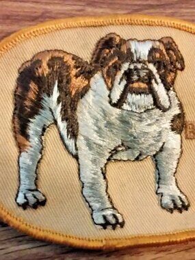 Sew On Patch Bulldog 4 1/4" x 3" Brown Gray on Gold / Orange